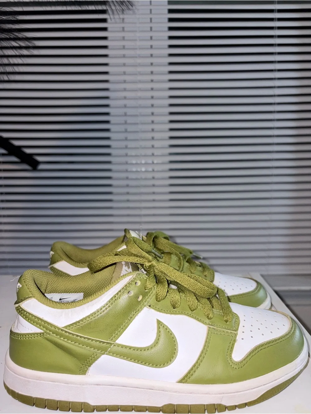 Kids Nike Dunk Green and White Low-Top Sneakers